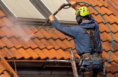 Démoussage et hydrofuge de toiture à Ternand